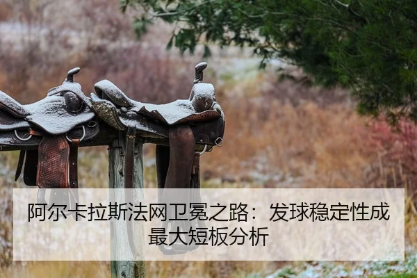 阿尔卡拉斯法网卫冕之路：发球稳定性成最大短板分析