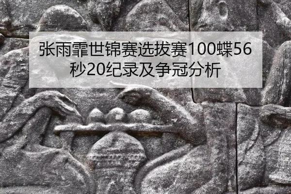 zhang-yu-fei-shi-jin-sai-xuan-ba-sai-die-miao-ji-lu-ji-zheng-guan-fen-xi-3-343.jpg