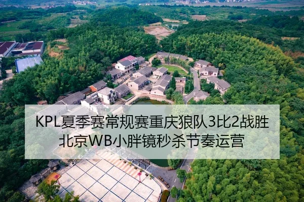 KPL夏季赛常规赛重庆狼队3比2战胜北京WB小胖镜秒杀节奏运营